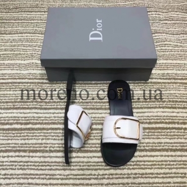Шлепанцы Dior в цветах фото 3